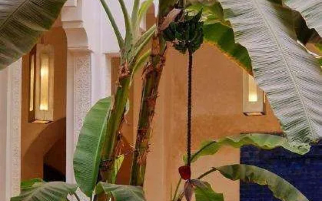 Riad Dar Tayib