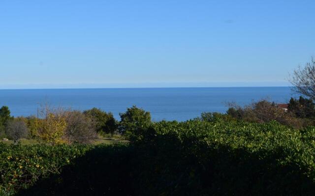 Villa Manu