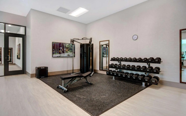 Embassy Suites By Hilton Alpharetta Halcyon