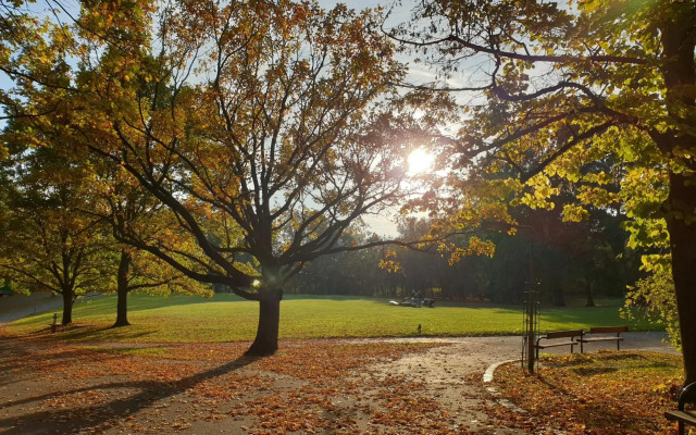 Sunny and spacious apartment near city centre