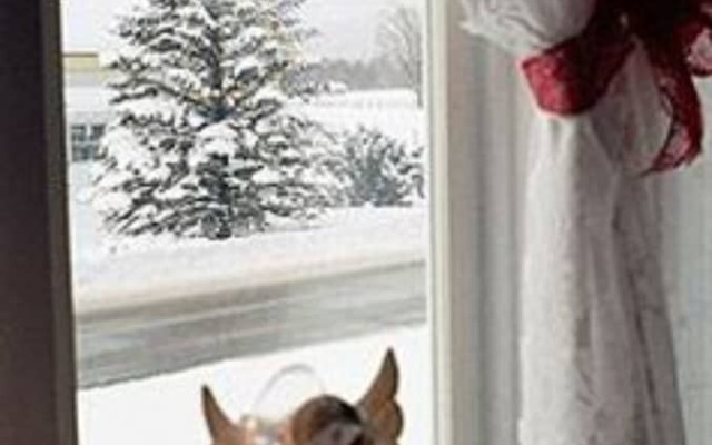 The Rendezvous Bed & Breakfast