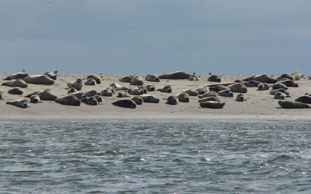 Fanø bad Ferielejligheder