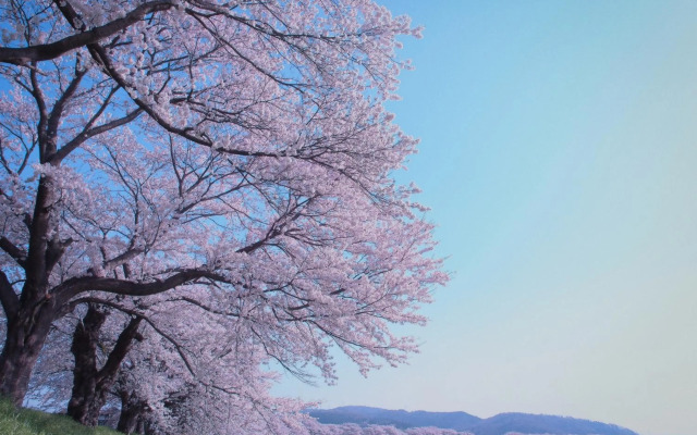 Hotel Grand Bach Sendai