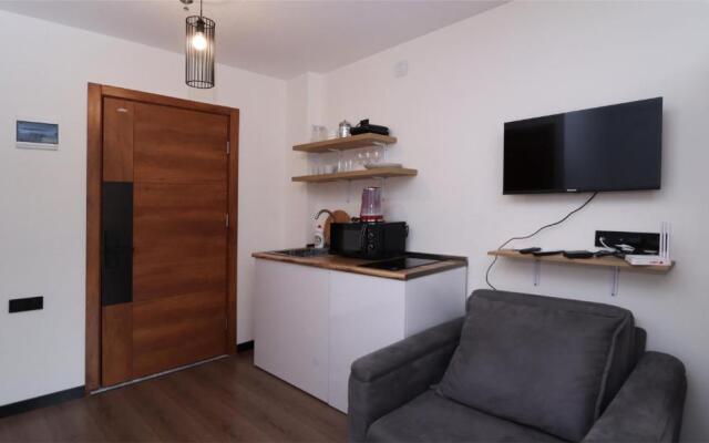Bright Studio Apartment in Marshall Gudauri