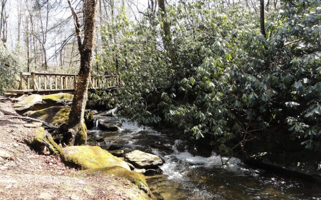 VCI - Elderberry Overlook
