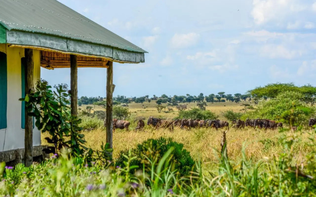 Zebra-Kemang'ore Bush Tented Lodge