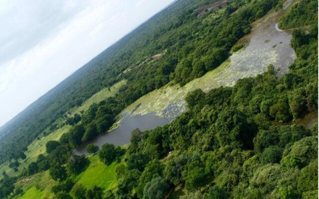 The Naturalist Luxury Tents