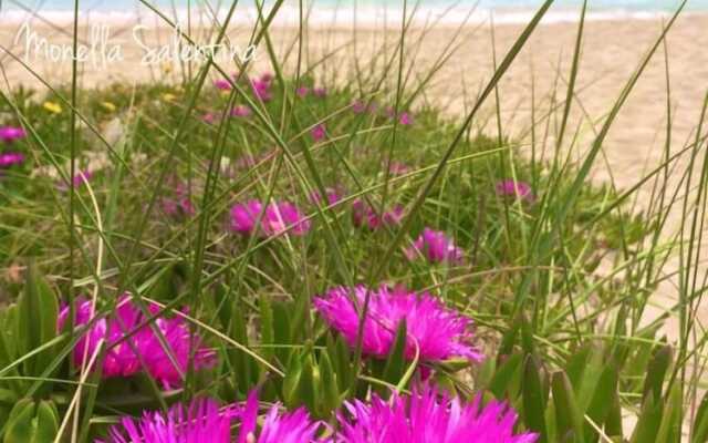 Holiday Home" C'era una Volta"