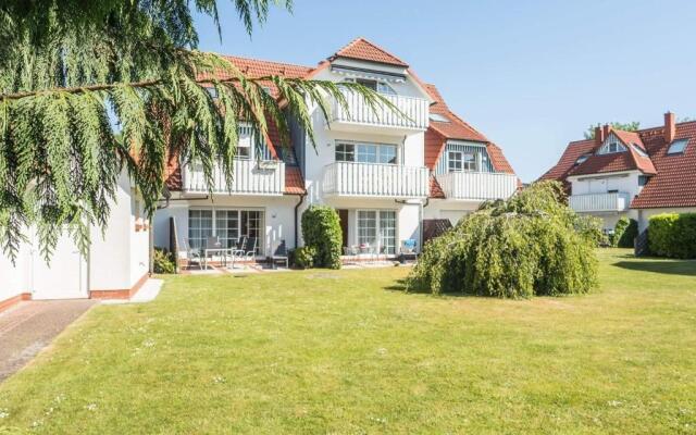 Alte Reihe 10 - Silbermöwe 1