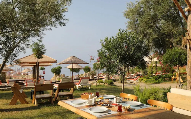 Antique Beach and Bungalow