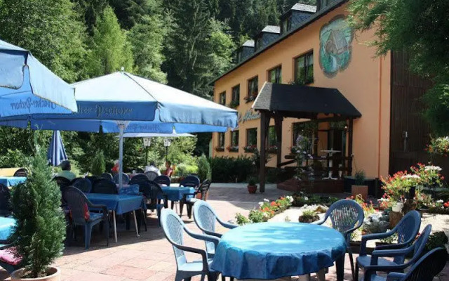 Waldhotel Albachmuehle