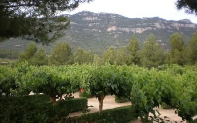 Montsant Park Camping & Bungalow