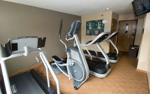 Super 8 Ohare Chicago Elk Grove Village