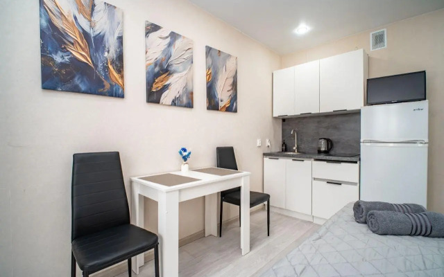 Апартаменты на улице Забалуева 90