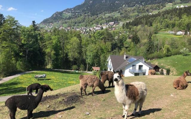 Jurte beim Lama- & Alpakahof Triesenberg