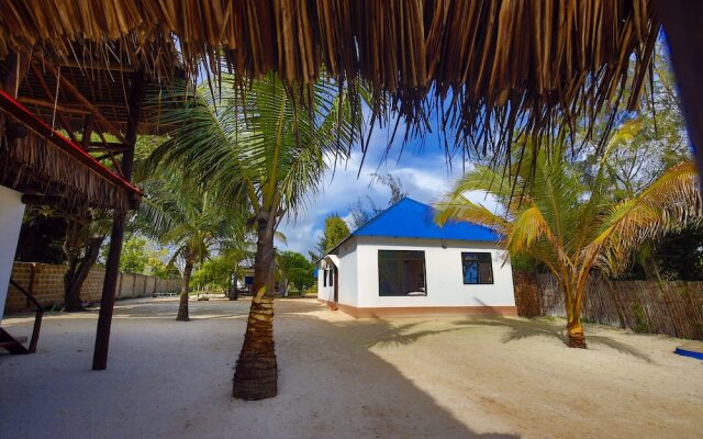 Zanzibar Blue Dolphin Bay