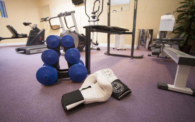 The White Swan Hotel