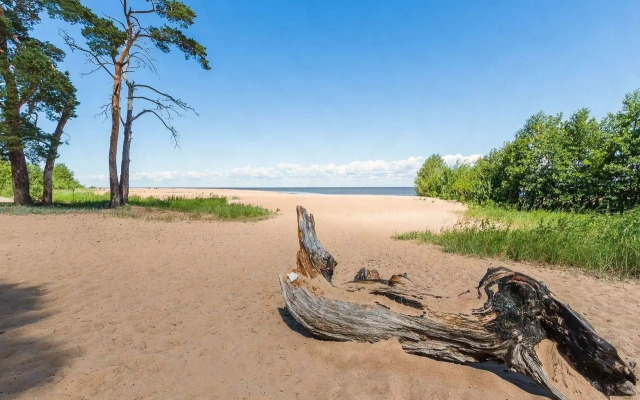 Izhora Homes (Ижора Хоумс)