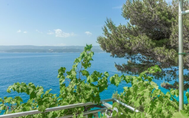 Apartments Villa Iva