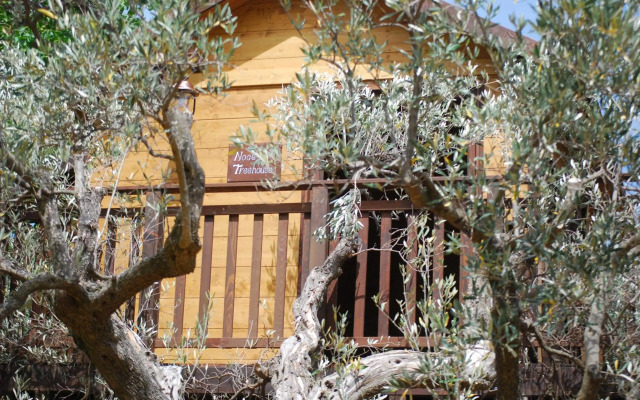 Palazzo Conforti Tree House Resort