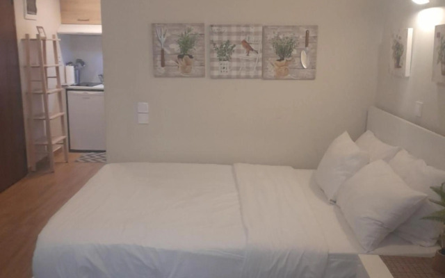 Studio Posh with garden in Kolonaki