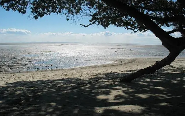 Clarks Beach Holiday Park