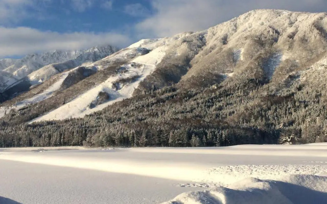 Balls Deep Inn Hakuba