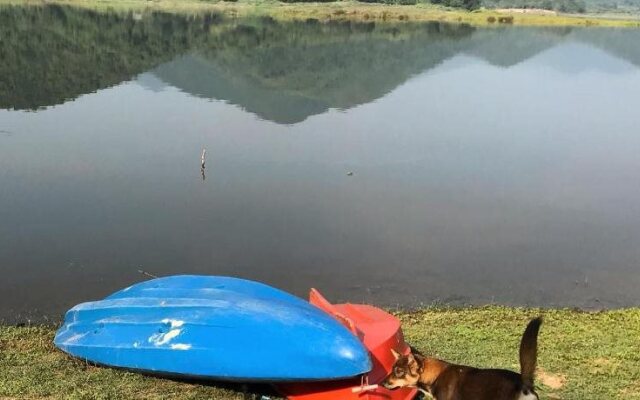 T and P Lake View