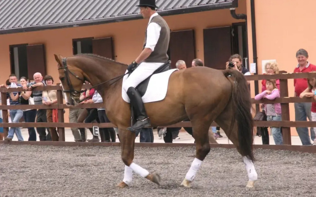 Eclipse Equestrian & Activity Centre