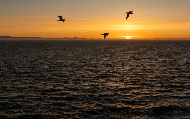 SookePoint Ocean Cottage Resort