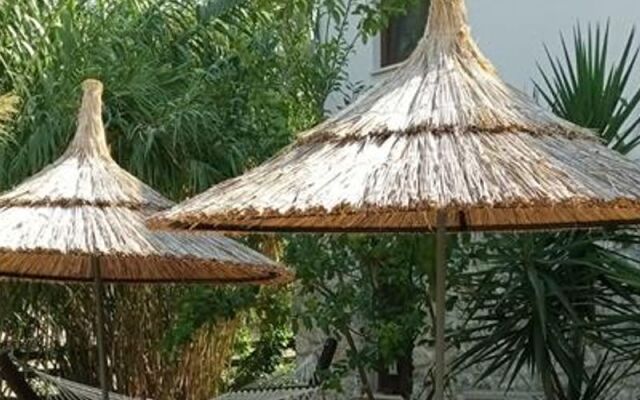 Okapi Suites