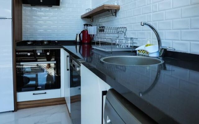 Tinyhouse Arya Ortaca