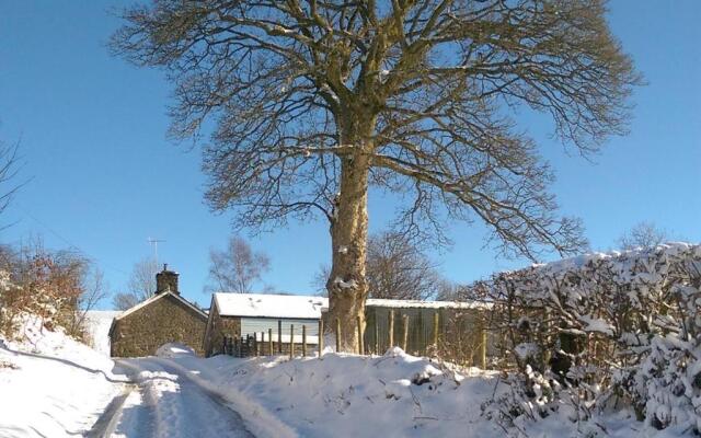 Pant Glas Barn