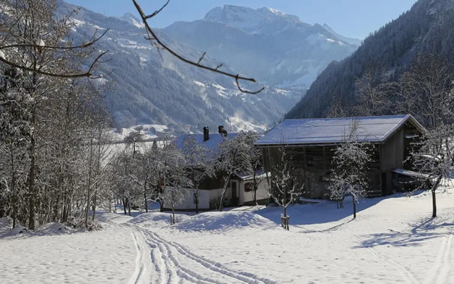Holiday Home in Aschau by Zillertal Alps