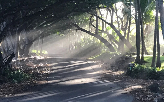 SweetSpotStay-Enchanted Grotto