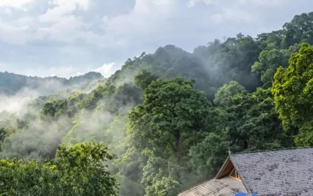 Mangjing · Juyuan Sunset Sea of Clouds Courtyard (Jingmai Mountain Ancient Tea Forest Scenic Area) – Outside – Pu'er