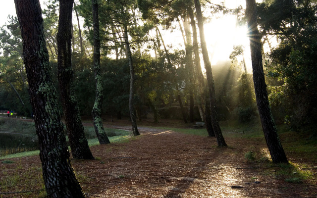 Résidence Hôtelière les Acanthes