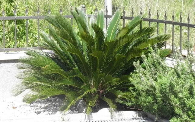 Led - Near sea - SA1