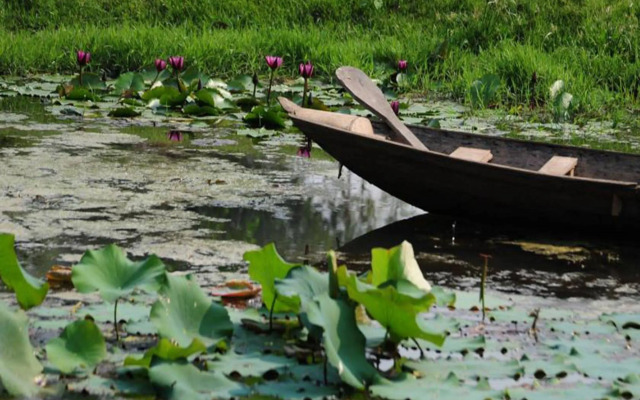 Phuphiang Khiangfah Resort