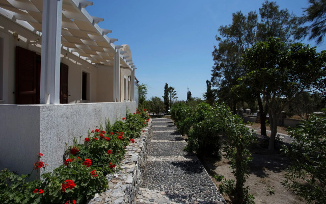 The Birds Villa included Car rental