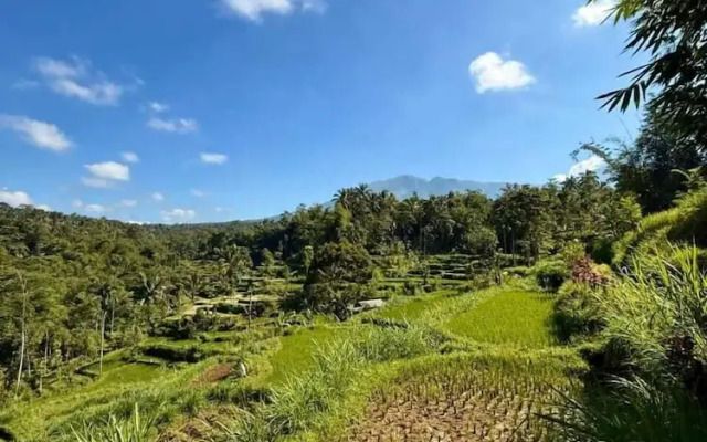 Tetebatu Valley Bungalows