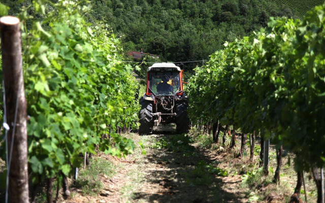 Podere Vignola