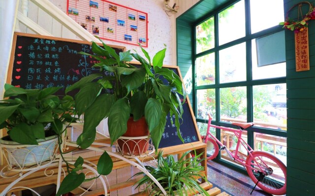 meeting the cats hostel