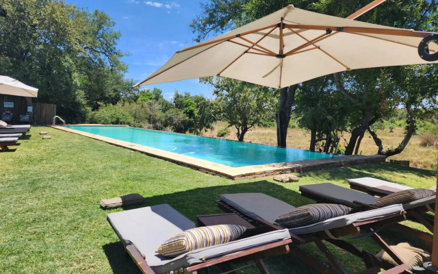 Karongwe Portfolio - Becks Safari Lodge