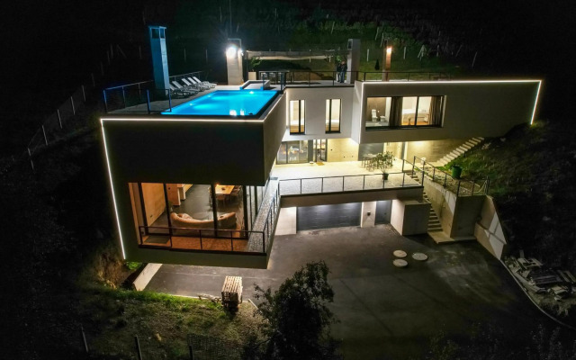 Villa Wineyard - VinoGrad