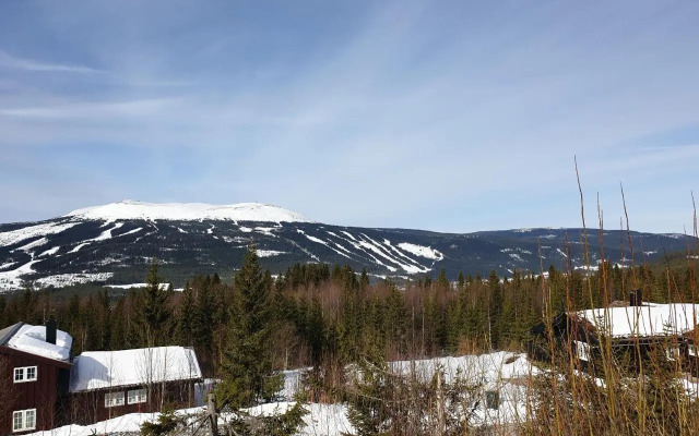 ReveEnka - cabin in Trysil with Jacuzzi for rent