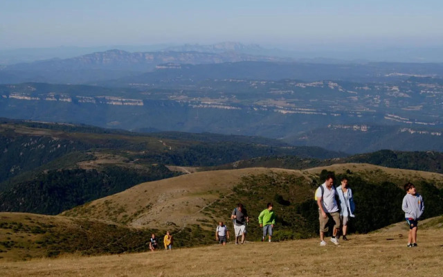 Les Margarides