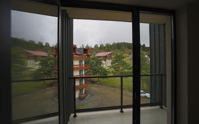 LEO GROUP Luxury Apartment 04-32 BAKURIANI INN