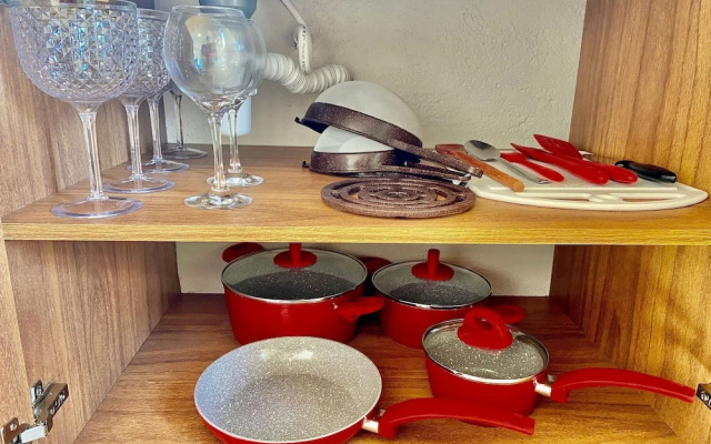 Jubaia Milagres by ER