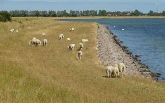 Resort Orther Reede, Fehmarn-orth
